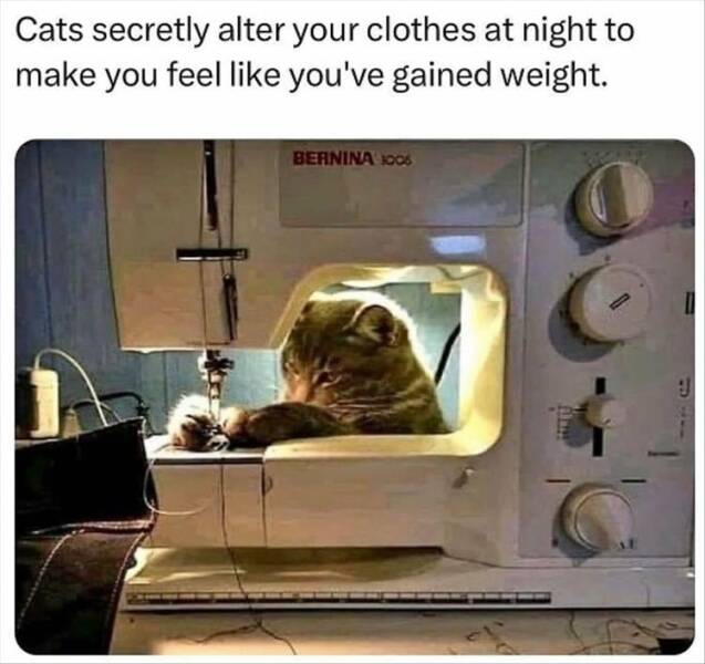Daily Pictures. Part 2 (56 pics)