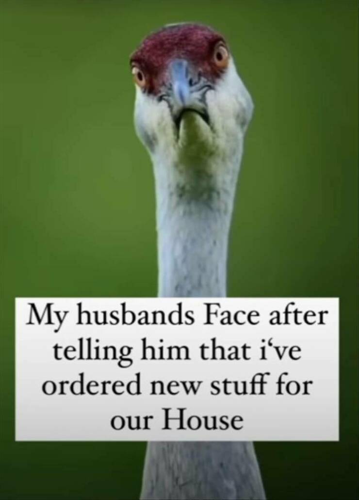 Daily Pictures. Part 2 (56 pics)