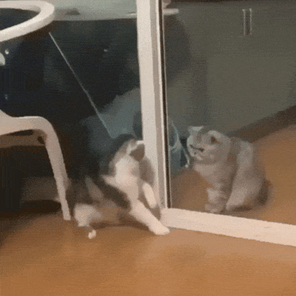 Acid GIFs, November 7 (25 gifs) Acid GIFs, November 7 (25 gifs)