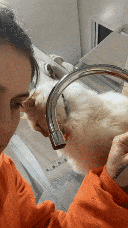 Acid GIFs, November 7 (25 gifs) Acid GIFs, November 7 (25 gifs)