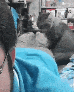 Acid GIFs, November 7 (25 gifs) Acid GIFs, November 7 (25 gifs)