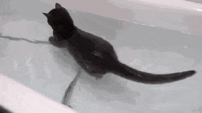 Acid GIFs, November 7 (25 gifs) Acid GIFs, November 7 (25 gifs)