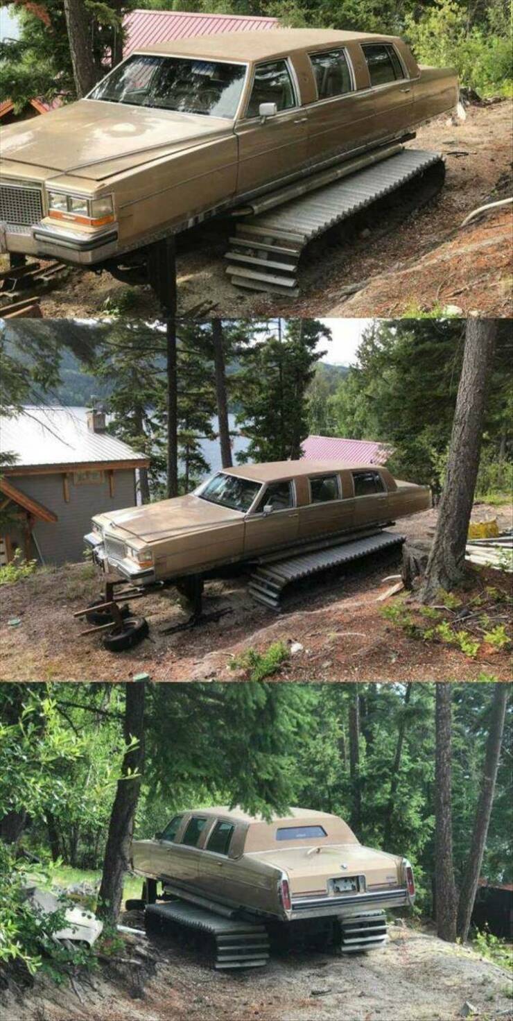 Daily Pictures. Part 2 (54 pics)