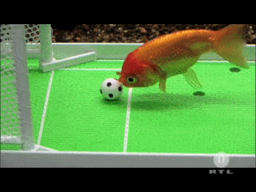 Acid GIFs, November 8 (25 gifs) Acid GIFs, November 8 (25 gifs)