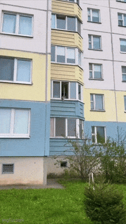 Acid GIFs, November 8 (25 gifs) Acid GIFs, November 8 (25 gifs)