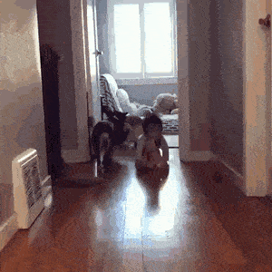 Acid GIFs, November 8 (25 gifs) Acid GIFs, November 8 (25 gifs)