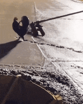 Acid GIFs, November 8 (25 gifs) Acid GIFs, November 8 (25 gifs)
