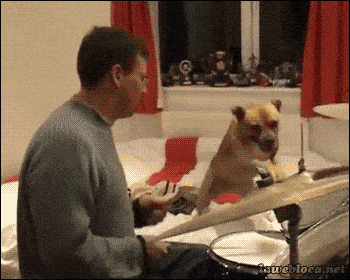 Acid GIFs, November 11 (25 gifs) Acid GIFs, November 11 (25 gifs)