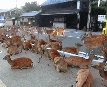 Acid GIFs, November 11 (25 gifs) Acid GIFs, November 11 (25 gifs)