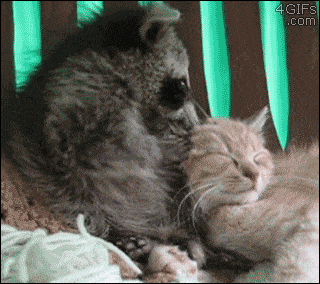 Acid GIFs, November 11 (25 gifs) Acid GIFs, November 11 (25 gifs)