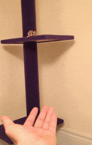 Acid GIFs, November 11 (25 gifs) Acid GIFs, November 11 (25 gifs)