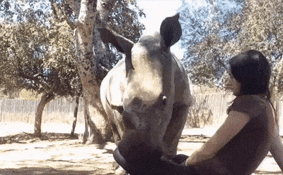Acid GIFs, November 11 (25 gifs) Acid GIFs, November 11 (25 gifs)