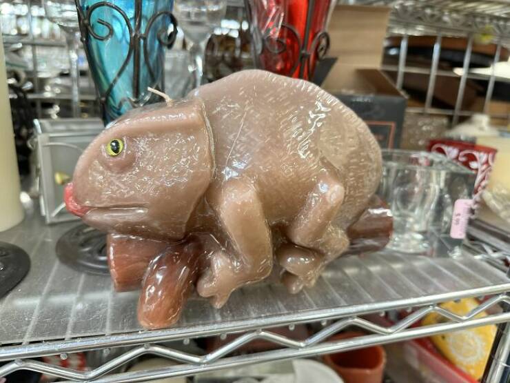 Weird Finds In Thrift Shops (23 pics)