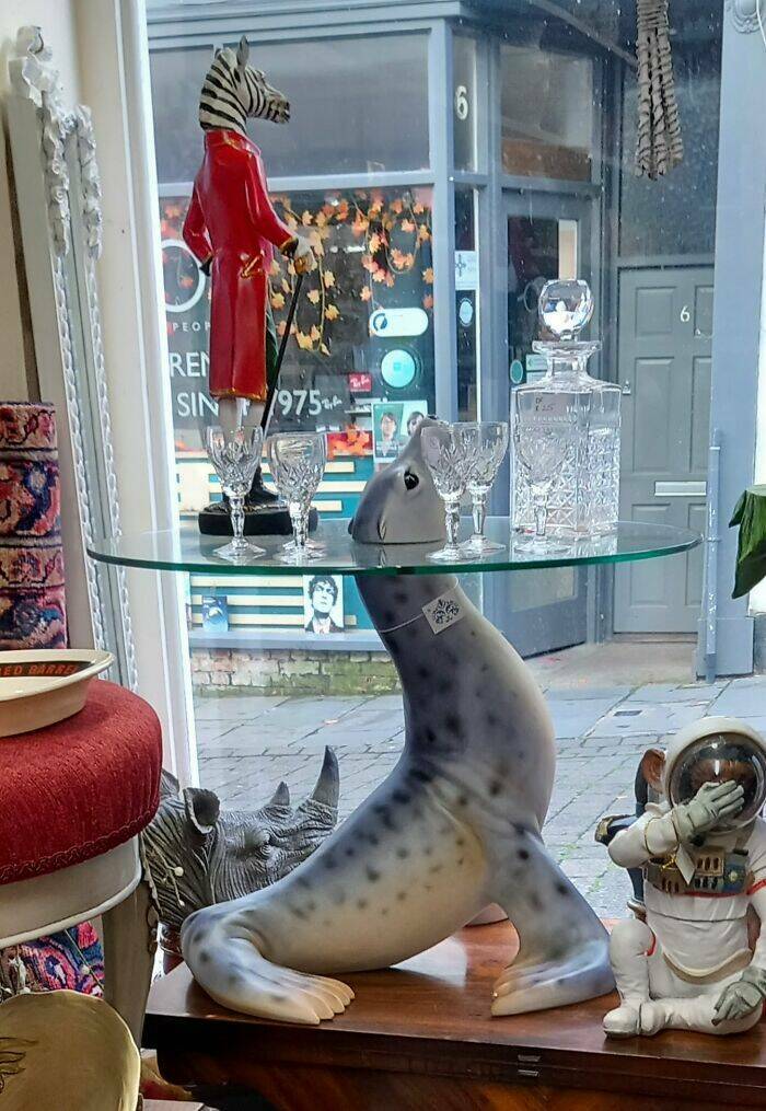 Weird Finds In Thrift Shops (23 pics)
