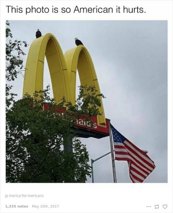 This Is Just America (20 pics)