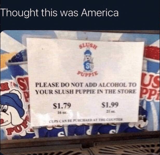 This Is Just America (20 pics)
