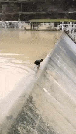 Acid GIFs, November 12 (25 gifs) Acid GIFs, November 12 (25 gifs)
