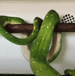 Acid GIFs, November 12 (25 gifs) Acid GIFs, November 12 (25 gifs)
