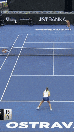 Acid GIFs, November 12 (25 gifs) Acid GIFs, November 12 (25 gifs)