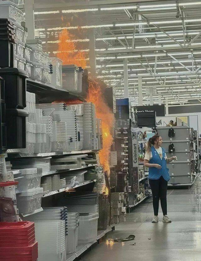 Daily Pictures. Part 2 (54 pics)