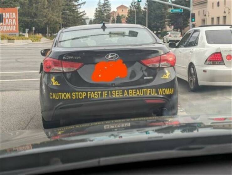 Daily Pictures. Part 2 (54 pics)