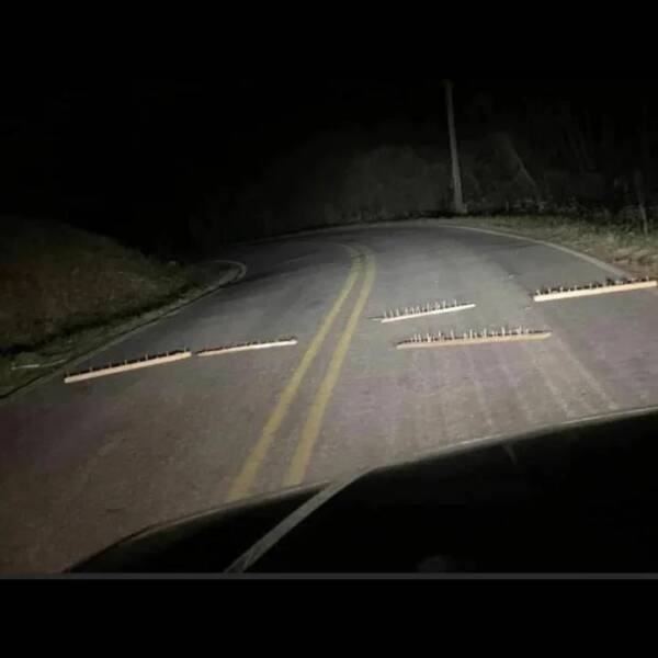 Daily Pictures. Part 1 (56 pics)