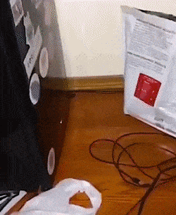 Acid GIFs, November 13 (25 gifs) Acid GIFs, November 13 (25 gifs)