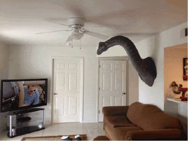Acid GIFs, November 13 (25 gifs) Acid GIFs, November 13 (25 gifs)