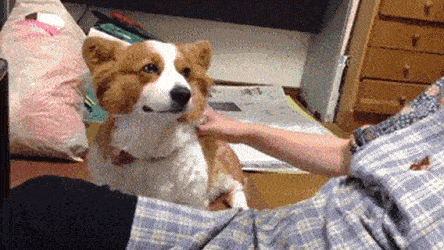 Acid GIFs, November 13 (25 gifs) Acid GIFs, November 13 (25 gifs)