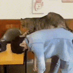 Acid GIFs, November 13 (25 gifs) Acid GIFs, November 13 (25 gifs)