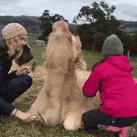 Acid GIFs, November 13 (25 gifs) Acid GIFs, November 13 (25 gifs)