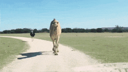Acid GIFs, November 13 (25 gifs) Acid GIFs, November 13 (25 gifs)
