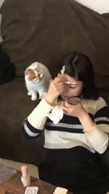 Acid GIFs, November 13 (25 gifs) Acid GIFs, November 13 (25 gifs)