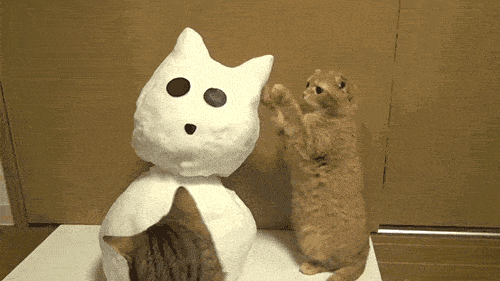 Acid GIFs, November 13 (25 gifs) Acid GIFs, November 13 (25 gifs)
