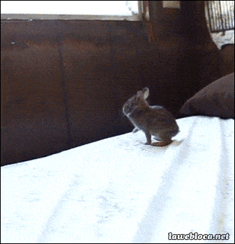 Acid GIFs, November 13 (25 gifs) Acid GIFs, November 13 (25 gifs)