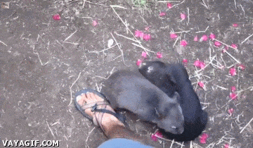 Acid GIFs, November 13 (25 gifs) Acid GIFs, November 13 (25 gifs)