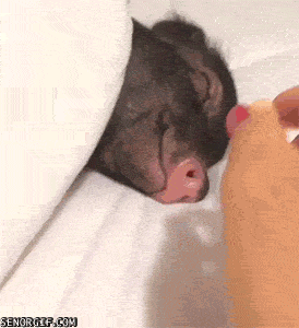Acid GIFs, November 13 (25 gifs) Acid GIFs, November 13 (25 gifs)
