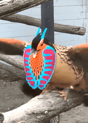 Acid GIFs, November 14 (25 gifs) Acid GIFs, November 14 (25 gifs)
