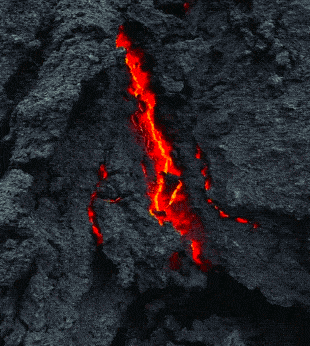 Acid GIFs, November 14 (25 gifs) Acid GIFs, November 14 (25 gifs)