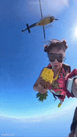 Acid GIFs, November 14 (25 gifs) Acid GIFs, November 14 (25 gifs)