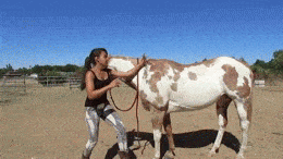 Acid GIFs, November 14 (25 gifs) Acid GIFs, November 14 (25 gifs)