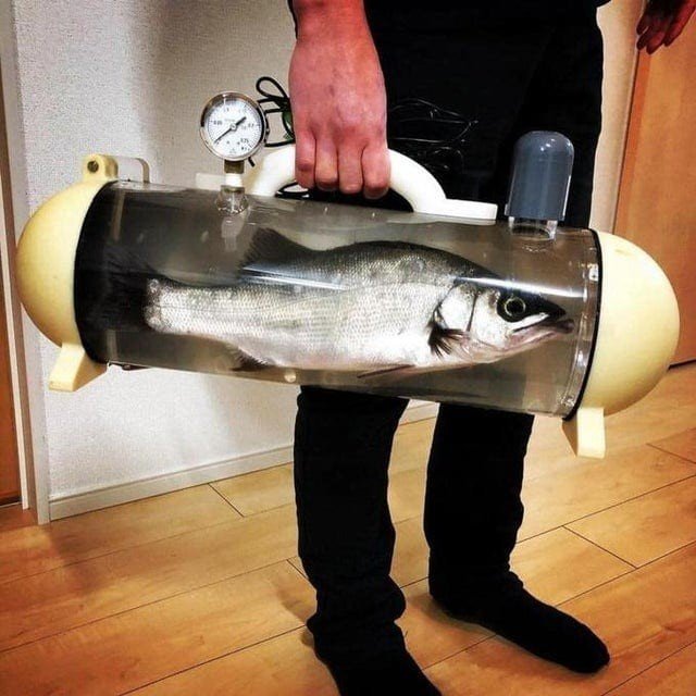 Weird Designs (18 pics)