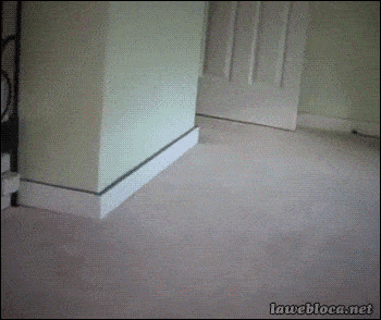 Acid GIFs, November 18 (25 gifs) Acid GIFs, November 18 (25 gifs)