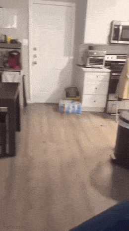 Acid GIFs, November 18 (25 gifs) Acid GIFs, November 18 (25 gifs)