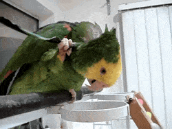 Acid GIFs, November 18 (25 gifs) Acid GIFs, November 18 (25 gifs)