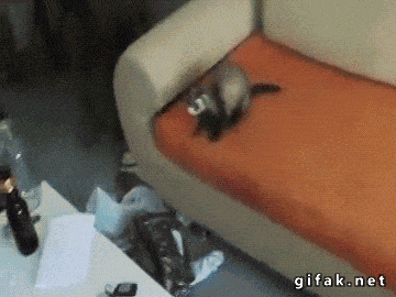 Acid GIFs, November 18 (25 gifs) Acid GIFs, November 18 (25 gifs)