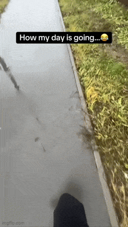 Acid GIFs, November 18 (25 gifs) Acid GIFs, November 18 (25 gifs)