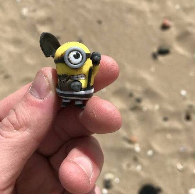 Unusual Finds On The Beaches (22 pics)
