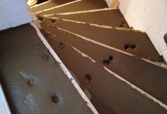 Bad Days Happen (18 pics)