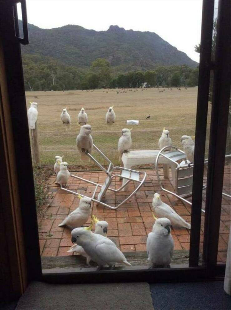 Daily Pictures. Part 2 (55 pics)